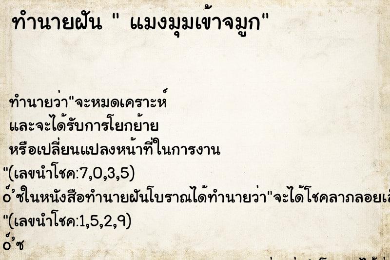 ทำนายฝันแมงมุมเข้าจมูก ทำนายฝันทำนายฝันแมงมุมเข้าจมูก